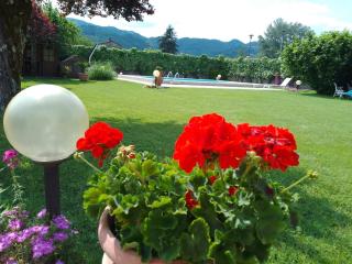 Le sette fontane - Barga - 7