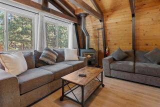 Big Bear Den - Great cabin far enough from town to getaway and fully fenced yard with firepit - 6