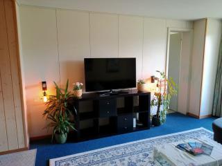 Apartment with great view at Residence Brunner - Wengen - 3