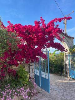 Villa HENA - Sarandë - 4