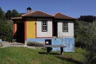 Quinta Vintage - Biológica - 9