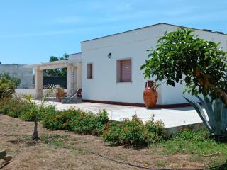 Villa Marina - San Pietro in Bevagna - 0