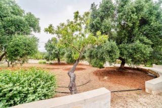 Villa Fiorenza - Torre Santa Sabina - 3
