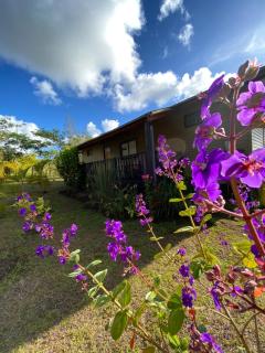 Maunga Roa Eco Lodge - 1