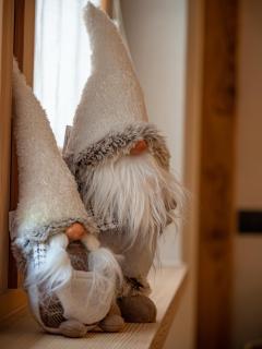 Deschana Lodge - Livigno - 7