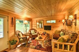 Lotsa Moose Lodge Pisgah Forest Waterfall Cabin! - 8