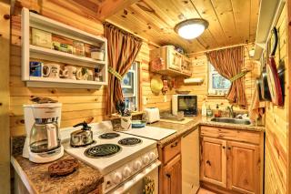 Lotsa Moose Lodge Pisgah Forest Waterfall Cabin! - Burnsville - 6