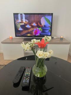 Maison des Larris - proche Aéroport - navette Gare - 4