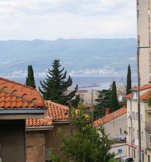 Sea Flower apartment Rijeka - Rijeka - 1