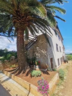 Apartment Kira - spacious apartment with sea view - Ližnjan - 9
