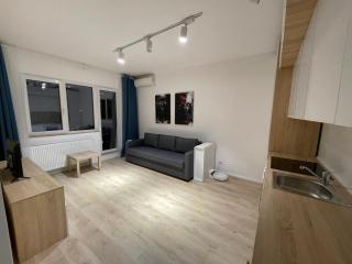 Amethyst Luxury Apartment Palace - Bucarest - 1