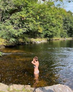 Airstream, vintage American caravan & Hottub - 6