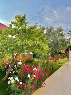 Cennet Hotel - Fethiye - 5