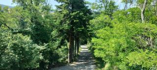 La bergerie d'Annie - Privas - 9