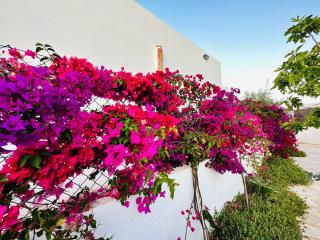 Villa Alegria Cala Egos - Cala d´Or - 9