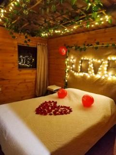 Glamping entre bosques - La Calera - 9