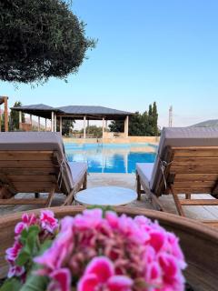 Summer Villa Lagonissi - Lagonissi - 4