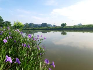Tuyet's Homestay - Ninh Bình - 9