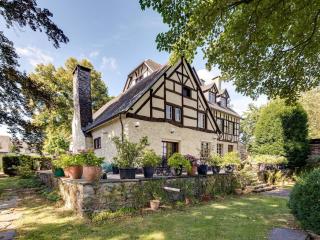 Imposing Holiday Home in Vielsalm - Vielsalm - 3