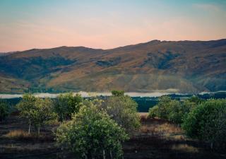 Haurapa PurePod - Cromwell - 1