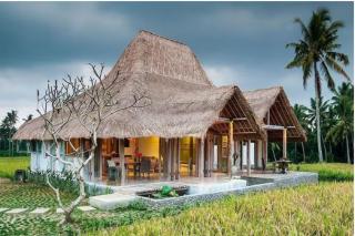 Bennu House - Ubud - 0