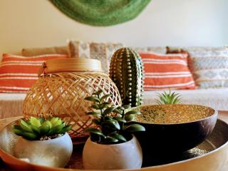 The Cactus Project - 9