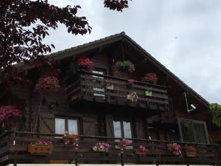 Le chalet de Doucy Bardet - Habère-Poche - 3
