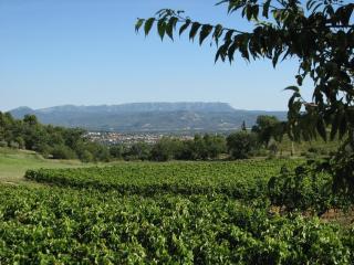 Domaine du Coffre - Pertuis - 3
