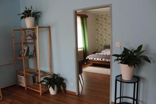 Apartmán Česká Metuje - Česká Metuje - 8