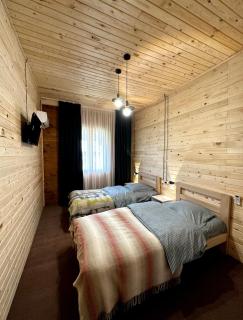 Eco-friendly Guesthouse Gezruli- 25 km from Chiatura - Tsinsopʼeli - 9