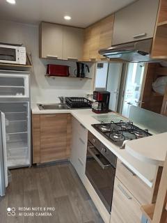 MOBILHOME 3 CHBRES 2 SDE 2 WC LV LL TV CLIM TOUT CONFORT - Gastes - 1