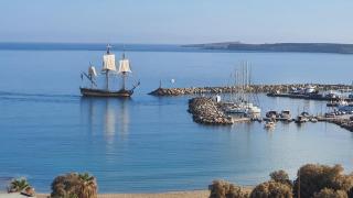 Augusta Studios & Apartments - 9