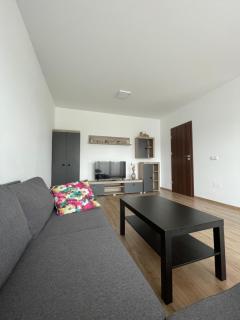 Arca Residence Apartments - Brasov - 2
