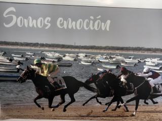 Relaxing Sanlúcar - 7