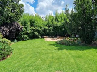 Colourful Horizons - 9