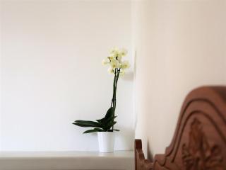 ΤΟ ΚΑΜΙΝΙ ΤΟΥ ΜΗΛΑ - Kithnos - 8