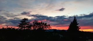 Montevideo Boutique Homestay - Shillong - 2