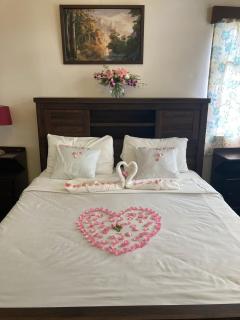 Montevideo Boutique Homestay - 1