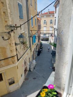 Studio Čebelica - Piran - 5