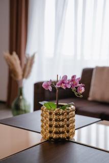 Silver Mountain Resort & Spa - Poiana Brasov - 2