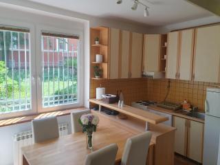 Apartment in the city center - Sarajevo - 2