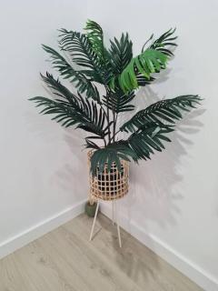 Sunshine Harmony Retreat (1A) - 2