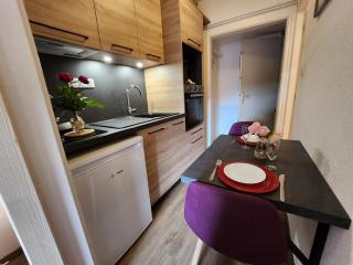 Gîte Myosotis, studio 2 personnes, avec salle de jeux et SPA dans la résidence - 5