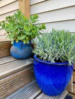 La Paillote de Claire - 5