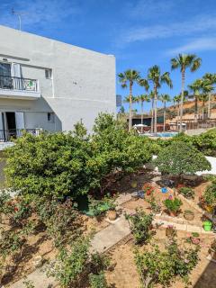 Kalliopi Studios - Apartments - Kato Daratso - 9