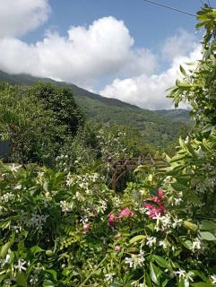 Beautiful Pelion Guesthouse with Spectacular Views - 5