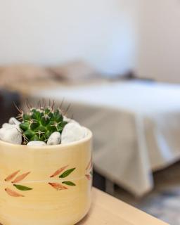 Nopal casa vacanze - San Vito dei Normanni - 0