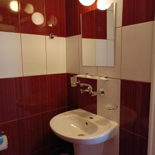 Guest House Olimpiya - Sveti Vlas - 6