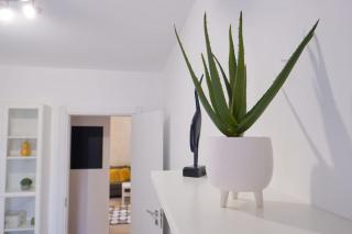 Joy City Stay Versului 8 - 9