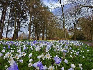 Thornton Manor - Holiday Cottages and Apartments - Heswall - 2